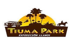 Logo Demo